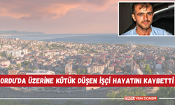 Ordu’da Üzerine Kütük Düşen İşçi Hayatını Kaybetti