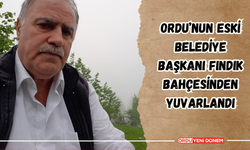 Ordu’nun Eski Belediye Başkanı Fındık Bahçesinden Yuvarlandı