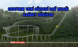 Ordu’nun Yeni Gözdesi Dağ Kızağı Rağbet Görüyor