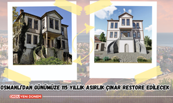 Osmanlı’dan Günümüze 115 Yıllık Asırlık Çınar Restore Edilecek