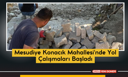 Mesudiye Konacık Mahallesi'nde Yol Çalışmaları Başladı