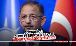 Son Dakika! Çevre ve Şehircilik Bakanı Mehmet Özhaseki istifa etti!