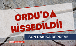 Son Dakika! Deprem! Ordu'da hissedildi!