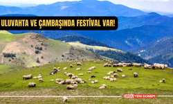 Ordu Uluvahta ve Çambaşı'nda festival var