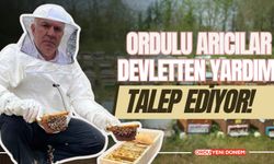 Ordulu Arıcılar Devletten Yardım Talep Ediyor