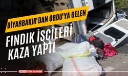 Ordu’ya Gelen Fındık İşçilerini Taşıyan Minibüs Devrildi: 20 Yaralı