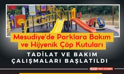 Mesudiye'de Parklara Bakım ve Hijyenik Çöp Kutuları