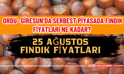 Ordu- Giresun’da Serbest Piyasada Fındık Fiyatları Ne Kadar? 25 Ağustos Fındık Fiyatları