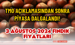 TMO açıklamasından sonra piyasa dalgalandı! 3 Ağustos 2024 fındık fiyatları