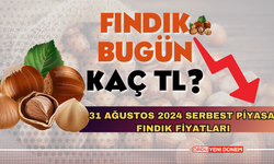 31 Ağustos 2024 Serbest Piyasa Fındık Fiyatları