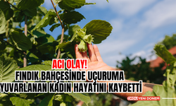 Acı Olay! Fındık Bahçesinde Uçuruma Yuvarlanan Kadın Hayatını Kaybetti