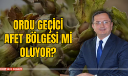 Ordu Geçici Afet Bölgesi Mi Oluyor?