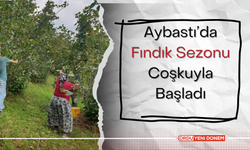 Aybastı’da Belediye Çalışmaları Aralıksız Sürüyor