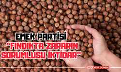 Emek Partisi “Fındıkta Zararın Sorumlusu İktidar”