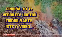 Fındığa 30 TL Verdiler! Üretici Fındığı Yaktı! İşte O Video…