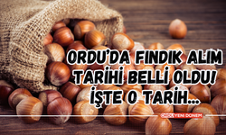 Ordu’da Fındık Alım Tarihi Belli Oldu! İşte O Tarih...