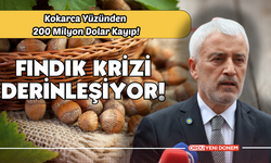 FINDIK KRİZİ DERİNLEŞİYOR!