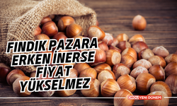 Fındık Pazara Erken İnerse Fiyat Yükselmez