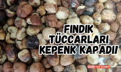 Fındık Tüccarları Kepenk Kapadı!