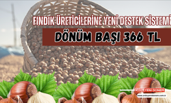 Fındık Üreticilerine Yeni Destek Sistemi: Dönüm Başı 366 TL