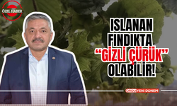 ISLANAN FINDIKTA “GİZLİ ÇÜRÜK” OLABİLİR!