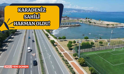 Karadeniz Sahil Yolu fındıkçılar için harman yeri oldu