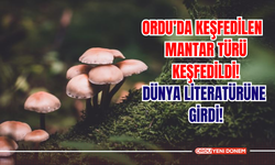 Ordu’da Yeni Mantar Türü Keşfedildi! Dünya Literatürüne Girdi!