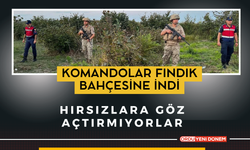 Komando Fındık Bahçesine İndi!