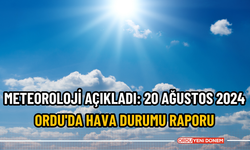 Meteoroloji açıkladı: 20 Ağustos 2024 Ordu'da hava durumu raporu