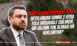 CHP'li Onur Çam'dan Tepki! Heyelandan Sonra 2 Ayda Yola Müdahale Edilmedi, Bir Ailenin Yok Olması mı Bekleniyor?