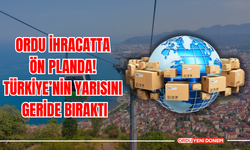 Ordu İhracatta Ön Planda! Türkiye’nin Yarısını Geride Bıraktı