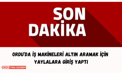 Son Dakika: Ordu’da Altın Aramak İçin İş Makineleri Getirildi