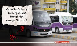 Ordu'da Dolmuş Güzergahları! Hangi Hat Saat Kaçta Nereye Gidiyor?