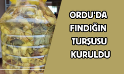 Ordu’da Fındığın Turşusu Kuruldu