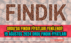 Ordu'da fındık fiyatları yenilendi! 19 ağustos 2024 Ordu fındık fiyatları