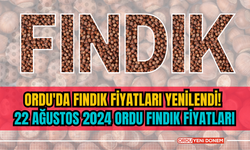 Ordu'da fındık fiyatları yenilendi! 22 ağustos 2024 Ordu fındık fiyatları