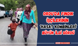 Ordu'da Fındık İşçilerinin ‘Hasat Kombinleri’ Büyük İlgi Gördü