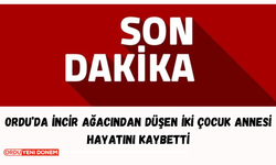 Ordu’da İncir Ağacından Düşen İki Çocuk Annesi Hayatını Kaybetti