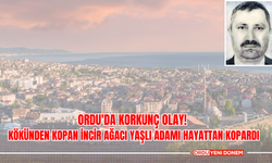 Ordu'da Korkunç Olay! Kökünden Kopan İncir Ağacı Yaşlı Adamı Hayattan Kopardı