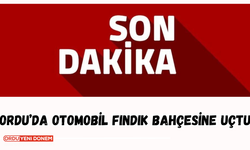 Ordu'da Otomobil Fındık Bahçesine Uçtu