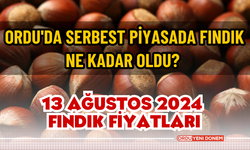 Ordu'da serbest piyasada fındık ne kadar oldu? 13 Ağustos 2024 fındık fiyatları