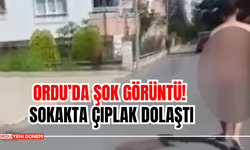 Ordu’da Şok Görüntü! Sokakta Çıplak Dolaştı! İşte O Görüntüler...