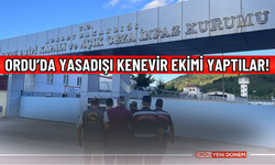 Ordu’da yasadışı kenevir ekimi yapan 2 kişi tutuklandı