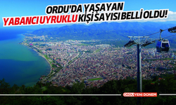 Ordu'da yaşayan yabancı uyruklu kişi sayısı belli oldu!