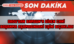 Ordu’dan Samsun’a Giden Cani Boşanma Aşamasındaki Eşini Bıçakladı