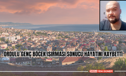 Ordulu Genç Böcek Isırması Sonucu Hayatını Kaybetti