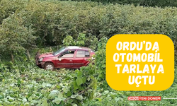 Ordu’da Otomobil Tarlaya Uçtu