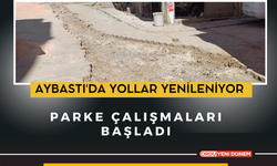 Aybastı'da Yollar Yenileniyor