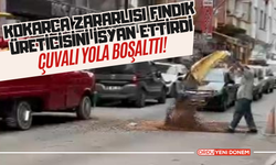 Kokarca Zararlısı Fındık Üreticisini İsyan Ettirdi  Çuvalı Yola Boşalttı!