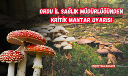 Ordu İl Sağlık Müdürlüğünden Kritik Mantar Uyarısı